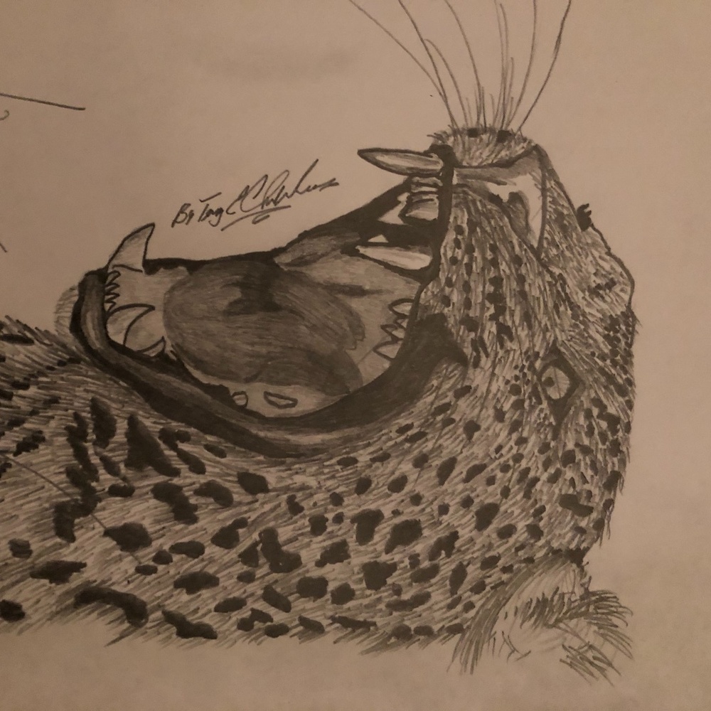 Drawing - Picture 2 of 12